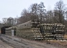 Schienenneulage in Steinbach und Langschlag (13).JPG